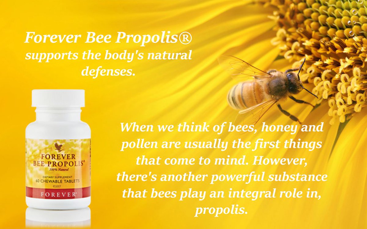 FOREVER BEE PROPOLIS BENEFITS OF FOREVER BEE PROPOLIS Sky Natural